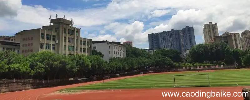 邻水四中怎么报名