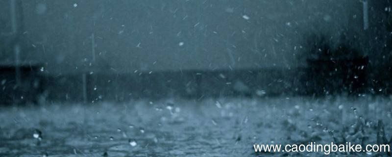 雾天下的雨叫什么