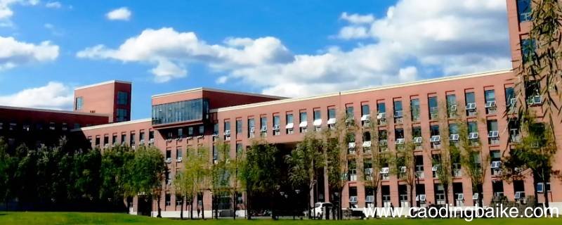 鬼谷藏龙是什么大学的