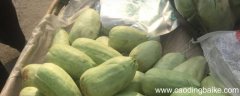 狼瓜是什么蔬菜