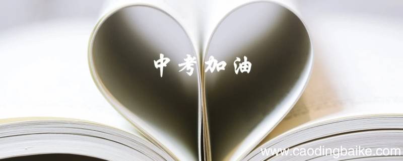 中考因为拉肚子可以补考吗