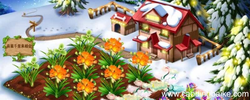 qq农场VIP和牧场VIP区别