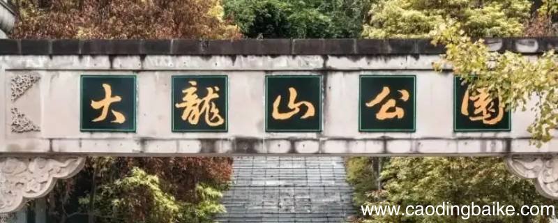 重庆大龙山附近公园里有柳树吗