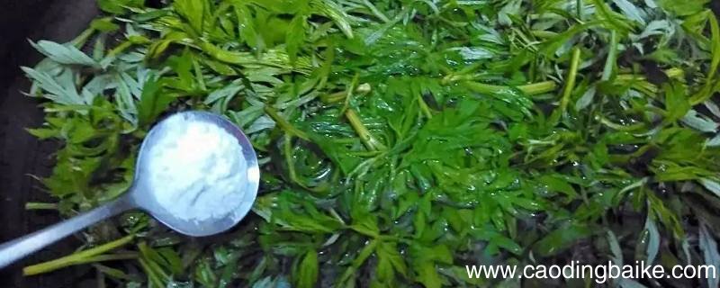 煮艾草为什么要放碱