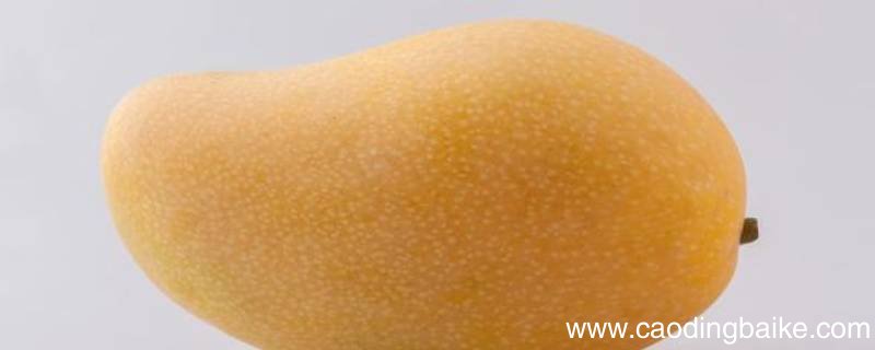 芒果和香椿能一起吃吗