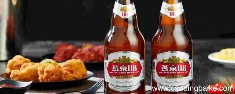 鲜酿和瓶装啤酒哪个贵