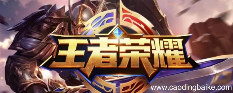 撞车队什么意思