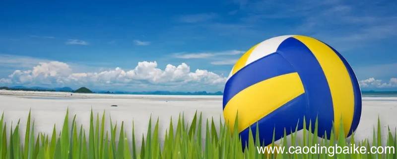 洋湖雅礼中学排球队要怎么进