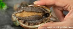 新鲜鲍鱼死了可以吃吗