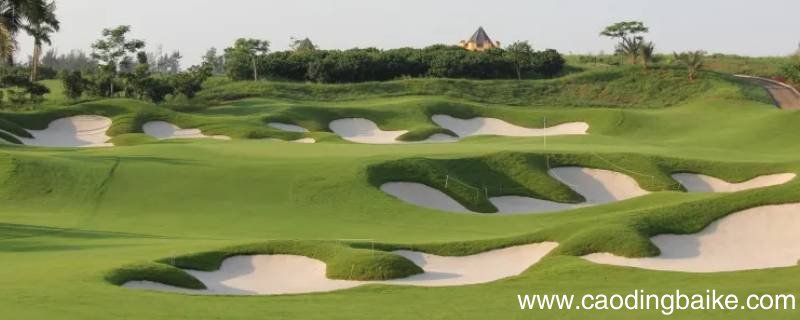 双流国际高尔夫球场卖了吗