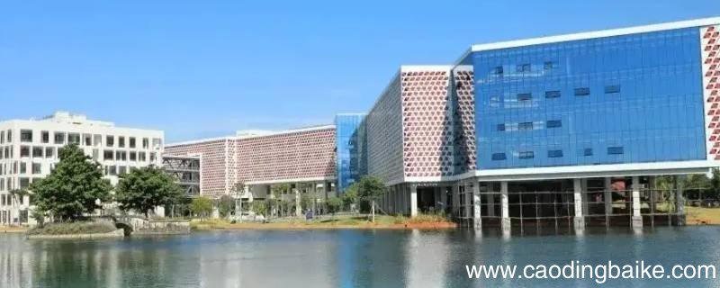 红河学院专业选修有补考吗