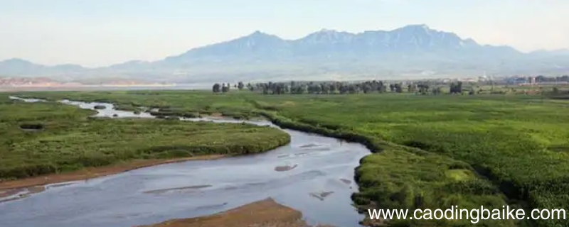 银川黄羊滩有农业户口吗