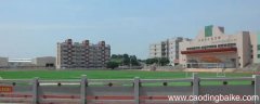 安海鸿江中学校长是谁