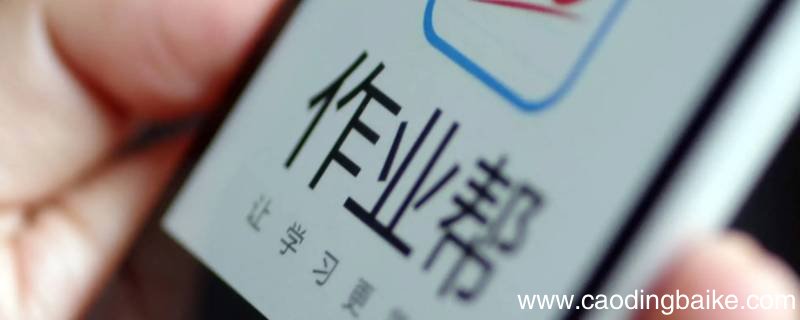 作业课叫什么名字