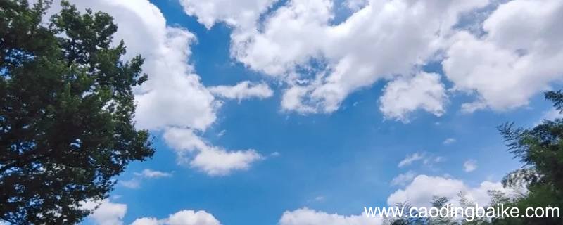 清爽的天空对吗