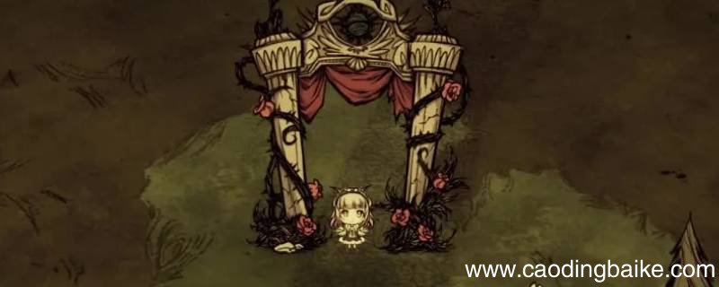 饥荒风幻龙建议强化什么