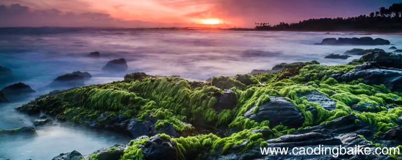 比喻山海变迁的成语