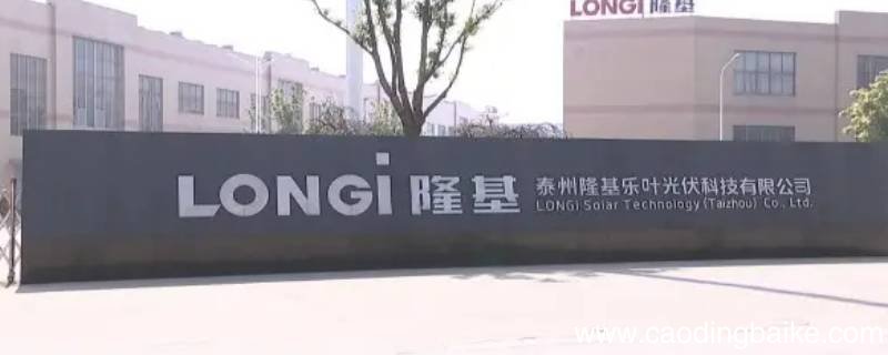 嘉兴隆基上班哪个部门好