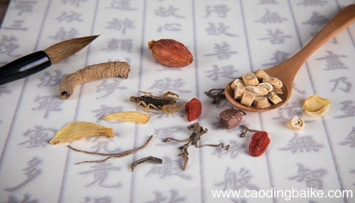 病入膏肓文言文翻译 病入膏肓古文译文