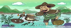 什么蚌相争渔翁得利鹬蚌相争渔翁得利文言文译文