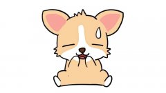 可爱的柯基简笔画