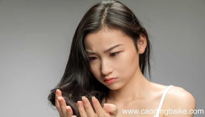 头发的故事主要内容 头发的故事主要内容是什么