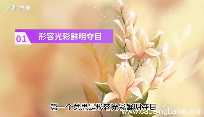 灿烂的意思 灿烂是什么意思