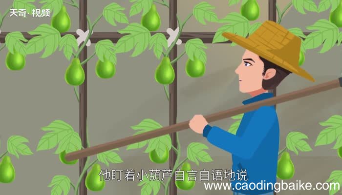 我要的是葫芦告诉我们什么道理 课文我要的是葫芦告诉我们什么道理