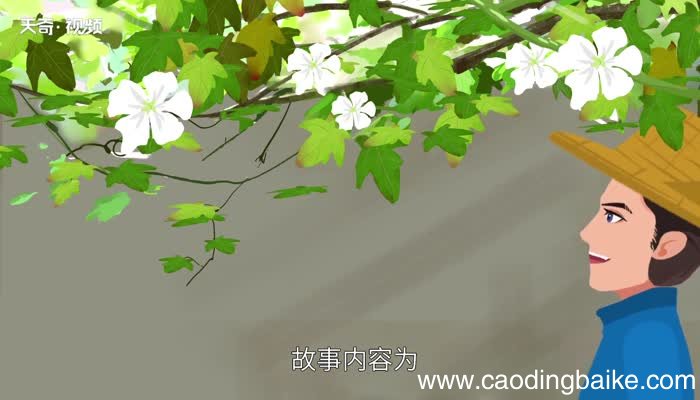 我要的是葫芦告诉我们什么道理 课文我要的是葫芦告诉我们什么道理