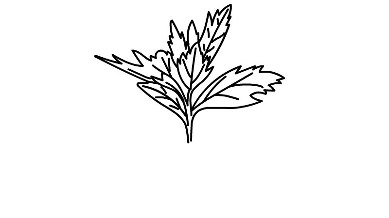 端午节艾草简笔画怎么画端午节艾草简笔画画法