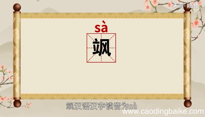 飒怎么读 飒的读音