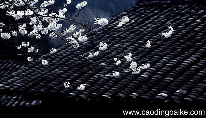 亭以雨名,志喜也文言文翻译 亭以雨名志喜也志的意思