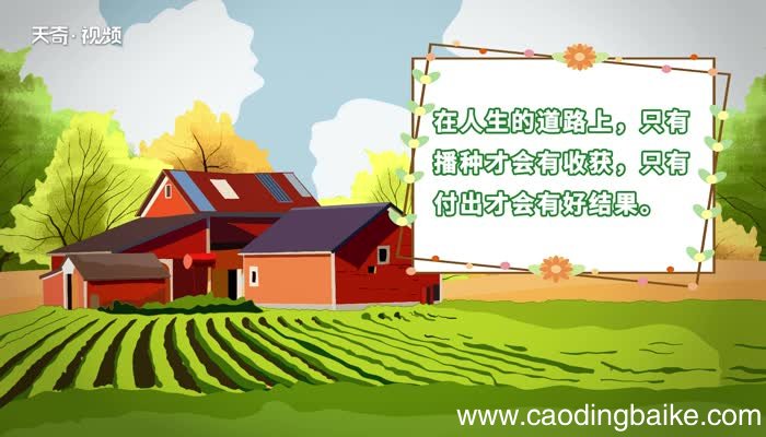 付出与收获的正能量句子 关于付出与收获的正能量句子