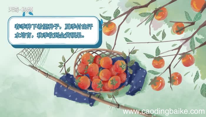 付出与收获的正能量句子 关于付出与收获的正能量句子