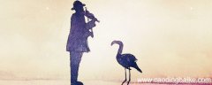 音乐的句法因素是旋律什么和声 音乐的句法因素包括