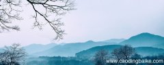 偏安一隅不失桑榆的意思 偏安一隅后半句是什么