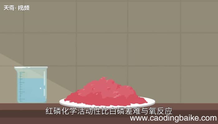 红磷和白磷的区别 白磷和红磷有什么不同