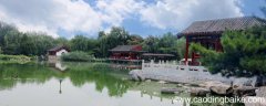 红楼梦四大家族是哪四个 红楼梦护官符是什么意思