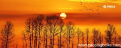 村晚写作背景是什么 村晚的写作背景及诗意