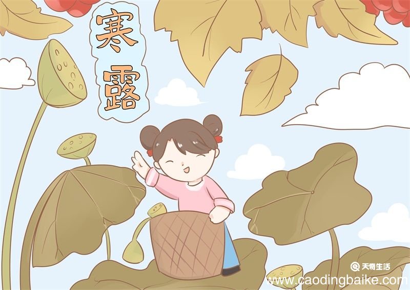 寒露儿童简笔画 寒露儿童简笔画简洁