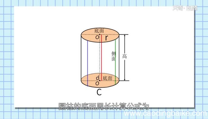 圆柱周长的计算方法圆柱的周长怎么求