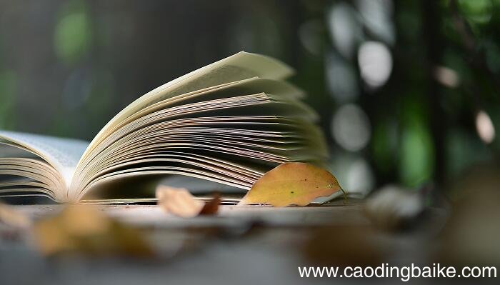 关于书的成语 表示和书有关的成语