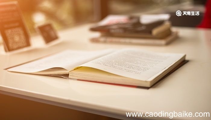 大意失街亭出自哪本书 大意失街亭的主人公是谁