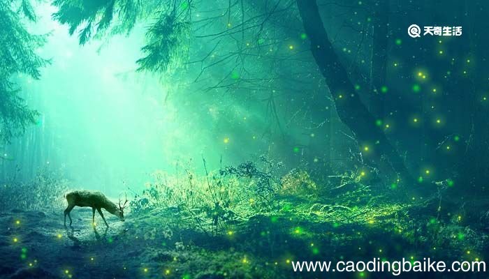 狮子和鹿这篇寓言讲了一个什么故事呢 狮子和鹿这篇寓言讲了一个什么故事