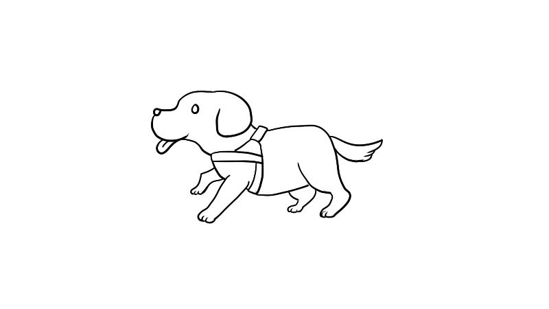 盲人的导盲犬简笔画教程盲人的导盲犬简笔画步骤