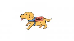 盲人的导盲犬简笔画教程盲人的导盲犬简笔画步骤