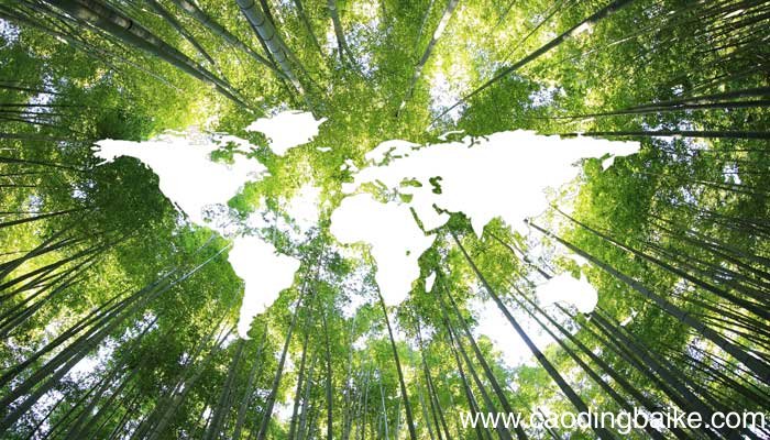 就是拯救未来的前一句 就是拯救未来的前一句是什么