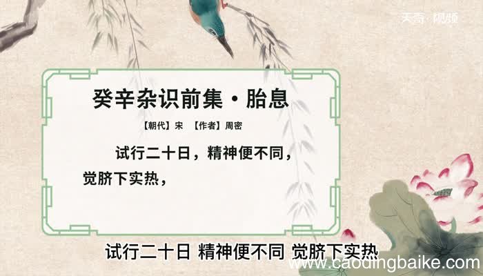 轻快的意思 轻快是什么意思