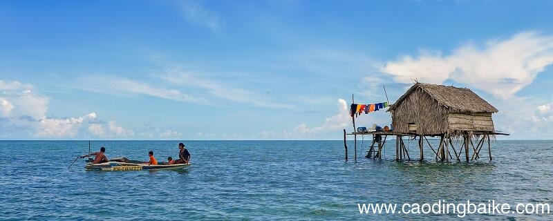 草房子秃鹤主要内容 草房子秃鹤故事简介