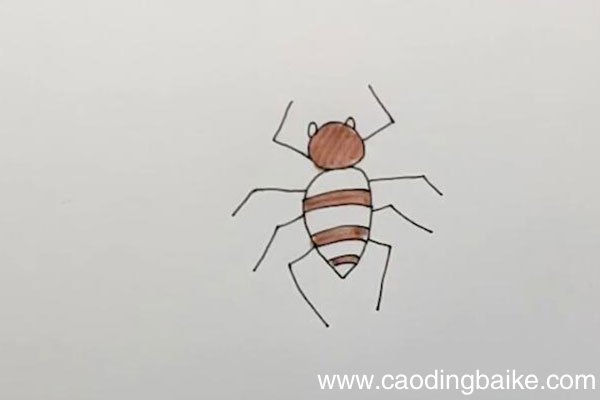 蜘蛛的简笔画